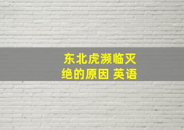 东北虎濒临灭绝的原因 英语